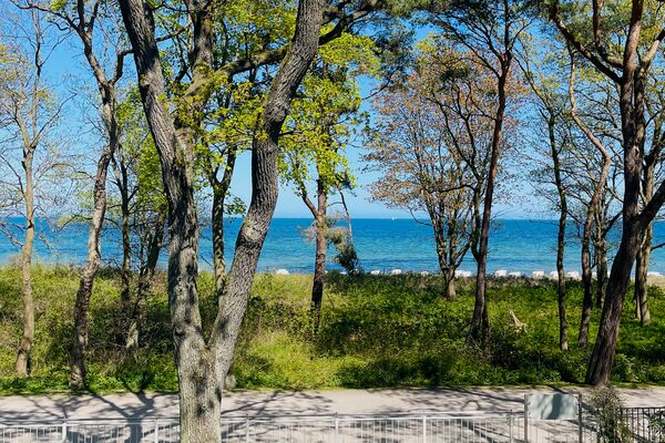 ⭐Ostsee Ferienwohnung Timmendorfer-Strand selling - Urlaub mit Hund⭐